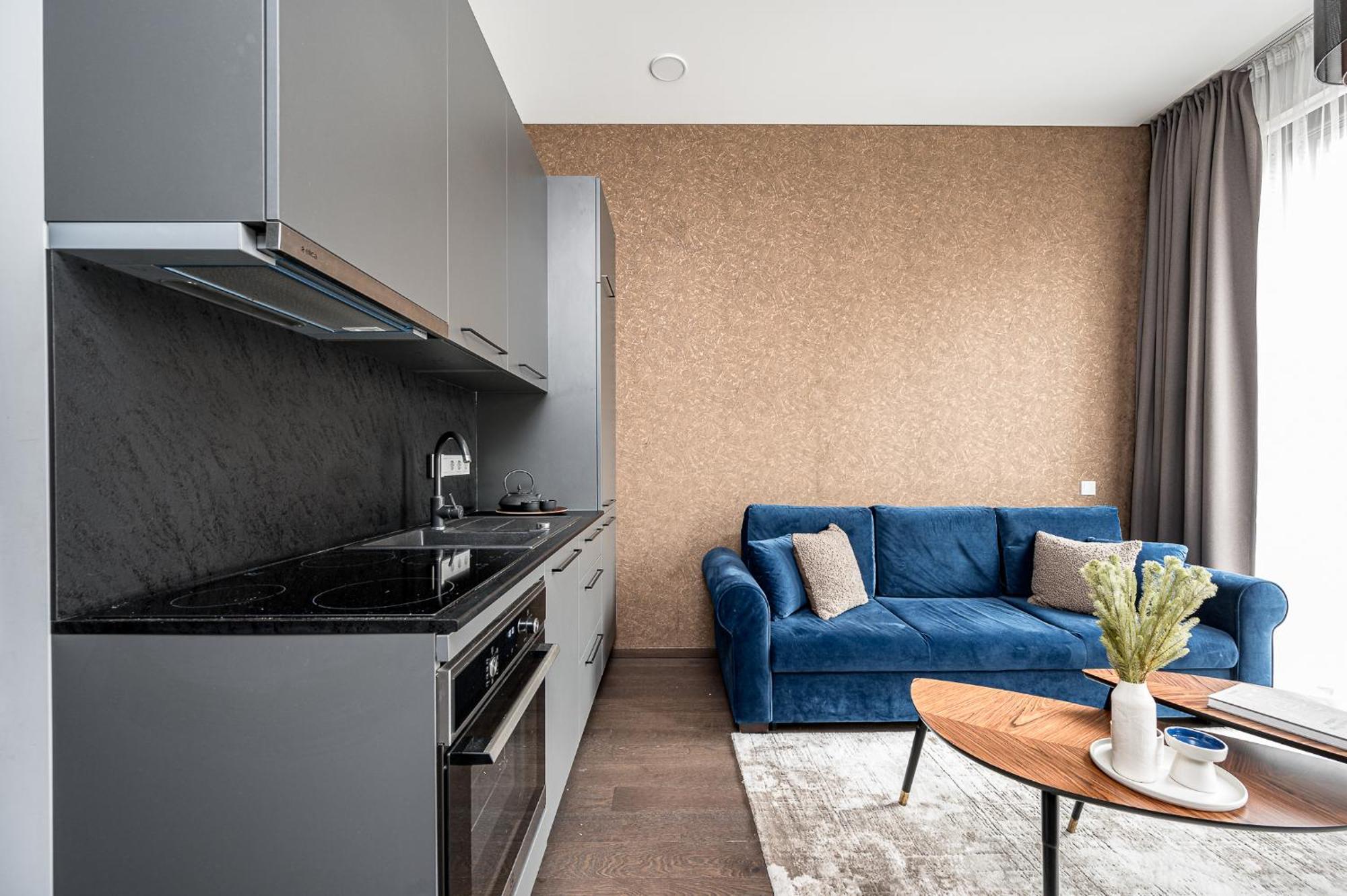 Vilnius Old Town Studio Renessaince 5 Экстерьер фото